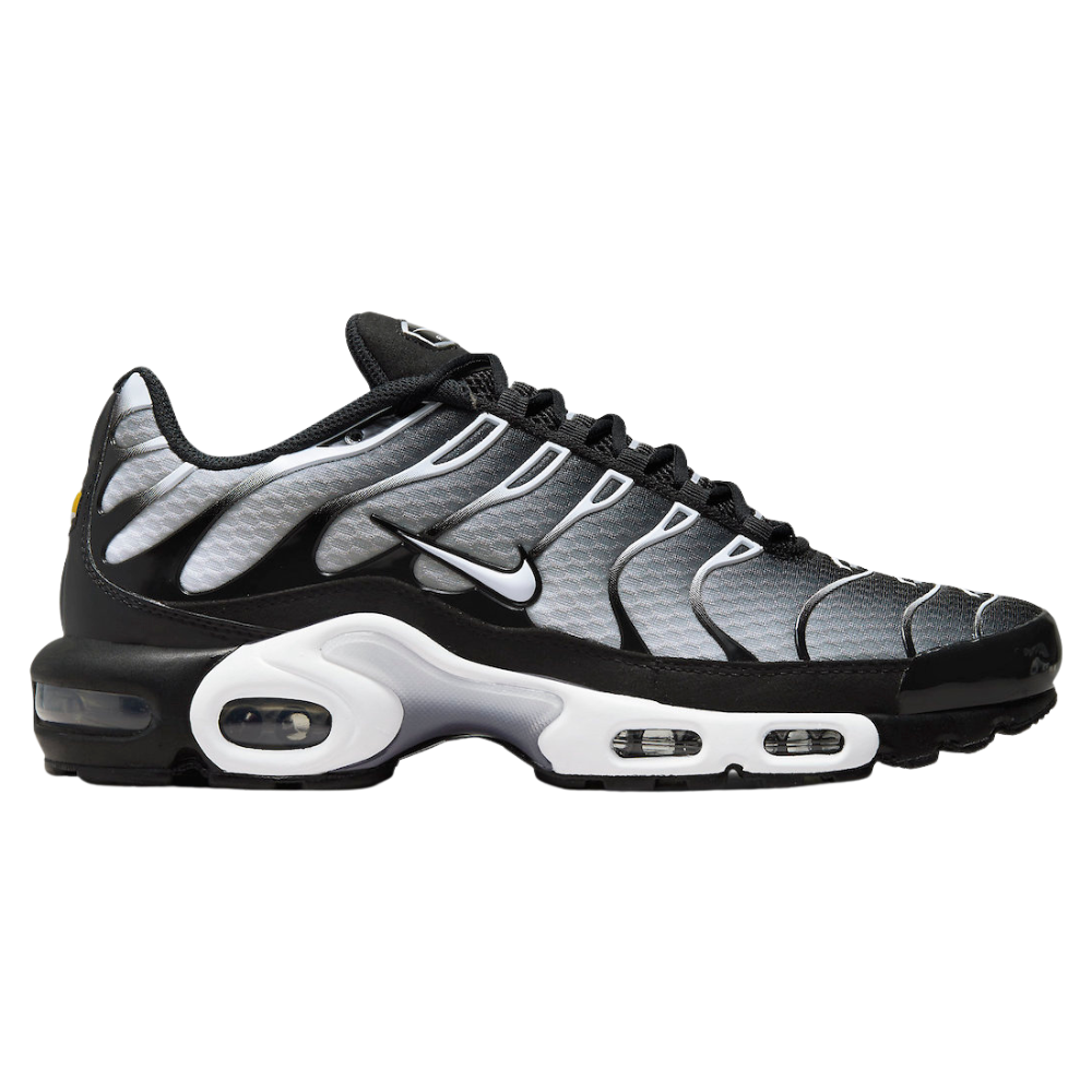 Nike Air Max Plus TN 'Black Silver White' (M)